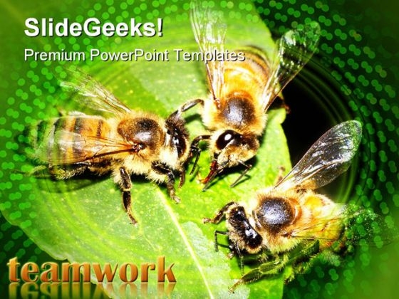 Teamwork Leadership PowerPoint Template 0510 Teamwork Leadership PowerPoint Template 0510