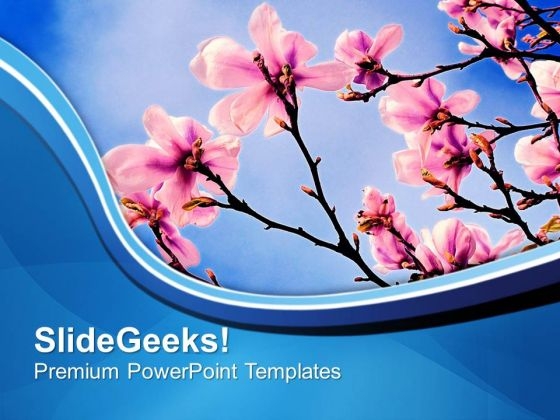 Theme Of Spring Beauty Of Nature PowerPoint Templates Ppt Backgrounds For  Slides 0613 - PowerPoint Templates