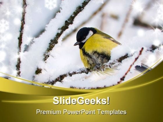 Tit Mouse Animals PowerPoint Template 1110 Tit Mouse Animals PowerPoint Template 1110
