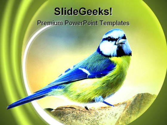 Tit Nature PowerPoint Templates And PowerPoint Backgrounds 0111 Tit Nature PowerPoint Templates And PowerPoint Backgrounds 0111