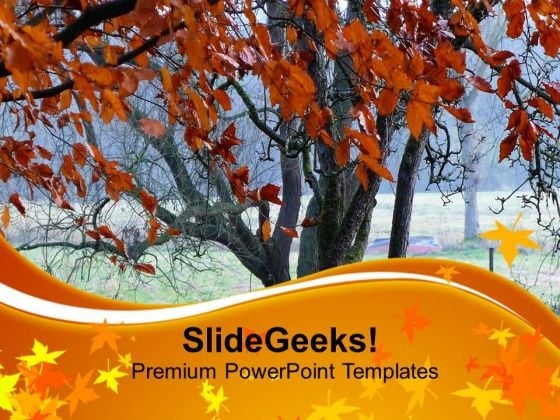 Tree Representing Autumn Season PowerPoint Templates Ppt Backgrounds For Slides 0713 Tree Representing Autumn Season PowerPoint Templates Ppt Backgrounds For Slides 0713