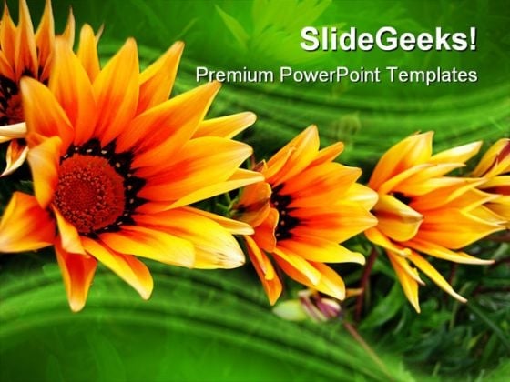 Triplet Nature PowerPoint Templates And PowerPoint Backgrounds 0211 Triplet Nature PowerPoint Templates And PowerPoint Backgrounds 0211