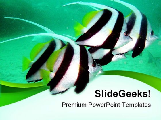 Tropical Fishes Animals PowerPoint Themes And PowerPoint Slides 0211 Tropical Fishes Animals PowerPoint Themes And PowerPoint Slides 0211