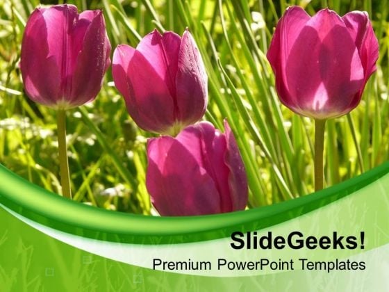 Tulip Flower Background With Green Color PowerPoint Templates Ppt Backgrounds For Slides 0713