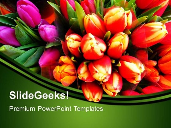 Tulip Flowers Nature PowerPoint Templates And PowerPoint Themes 0512 Tulip Flowers Nature PowerPoint Templates And PowerPoint Themes 0512