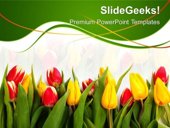 Tulips01 Beauty PowerPoint Templates And PowerPoint Themes 0512