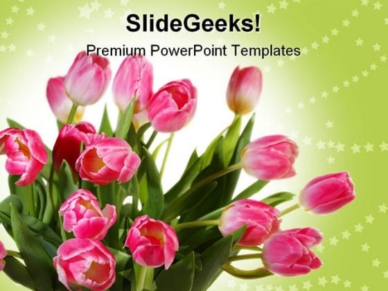 Tulips Bouquet Beauty PowerPoint Themes And PowerPoint Slides 0211 Tulips Bouquet Beauty PowerPoint Themes And PowerPoint Slides 0211