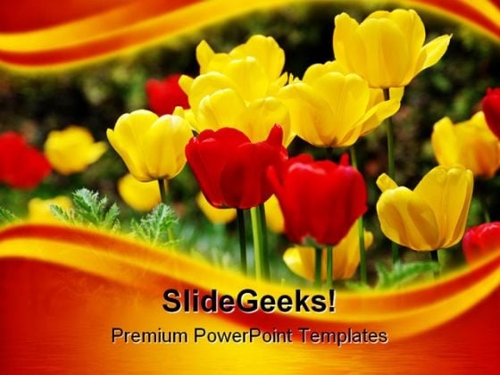 Tulips Flowers Nature PowerPoint Template 1110 Tulips Flowers Nature PowerPoint Template 1110