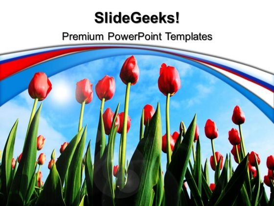 Tulips Nature PowerPoint Templates And PowerPoint Themes 0512 Tulips Nature PowerPoint Templates And PowerPoint Themes 0512