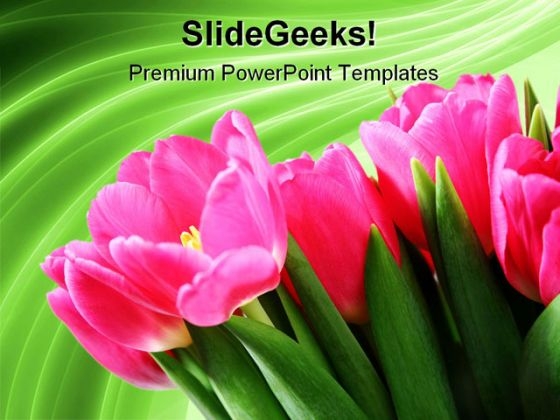 Tulips On Green Abstract Beauty PowerPoint Templates And PowerPoint Backgrounds 0311 Tulips On Green Abstract Beauty PowerPoint Templates And PowerPoint Backgrounds 0311