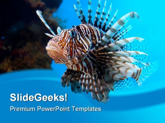 Turkey Fish Animal PowerPoint Backgrounds And Templates 1210 Turkey Fish Animal PowerPoint Backgrounds And Templates 1210