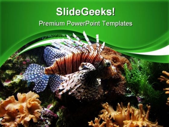 Turkey Pterois Volita Animals PowerPoint Themes And PowerPoint Slides 0411 Turkey Pterois Volita Animals PowerPoint Themes And PowerPoint Slides 0411