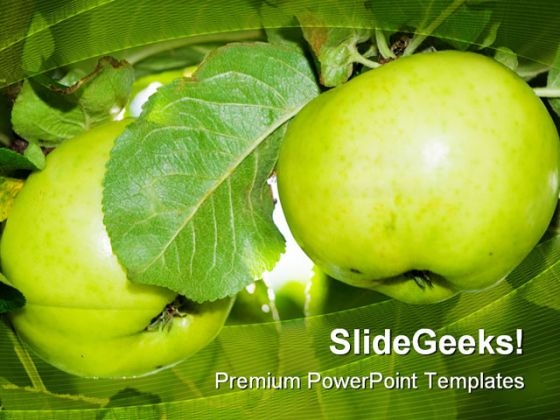 Two Apples In A Tree Nature PowerPoint Templates And PowerPoint Backgrounds 0211 Two Apples In A Tree Nature PowerPoint Templates And PowerPoint Backgrounds 0211