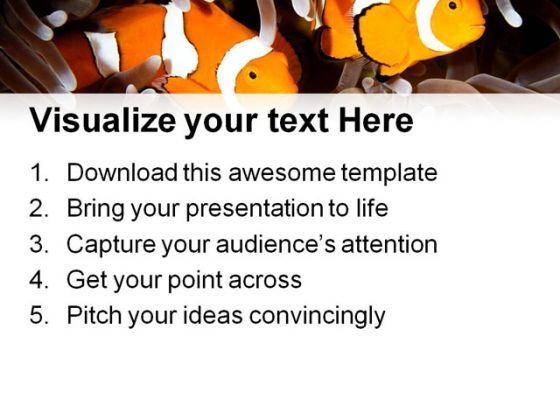 two_clown_fishes_animals_powerpoint_templates_and_powerpoint_backgrounds_0211_print
