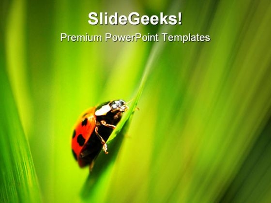 Up Hill Struggle Animals PowerPoint Template 1110 Up Hill Struggle Animals PowerPoint Template 1110
