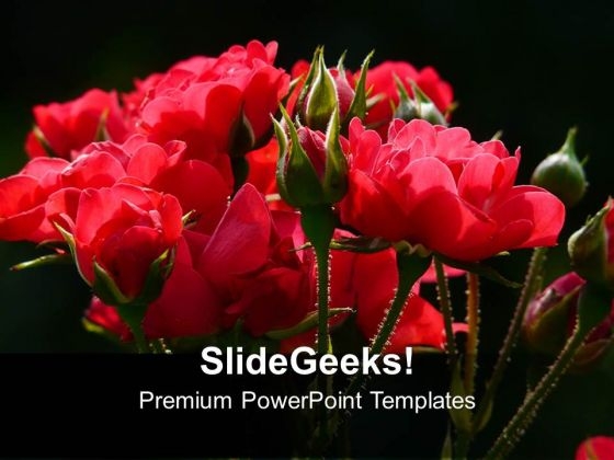Vibrant And Beautiful Red Roses PowerPoint Templates Ppt Backgrounds For Slides 1212