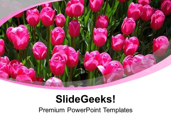 View Of Vibrant Rose Flowers PowerPoint Templates Ppt Backgrounds For Slides 1212 View Of Vibrant Rose Flowers PowerPoint Templates Ppt Backgrounds For Slides 1212