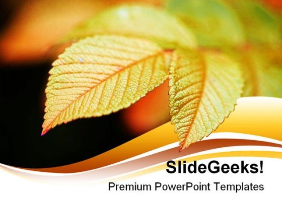 Vivid Leaf Nature PowerPoint Backgrounds And Templates 1210 Vivid Leaf Nature PowerPoint Backgrounds And Templates 1210