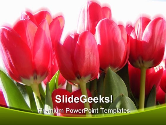 flowers powerpoint templates slides and graphics spring ppt background