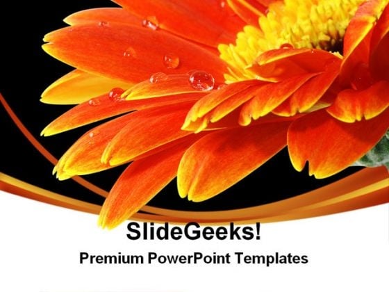 Water Drop On Flower Nature PowerPoint Themes And PowerPoint Slides 0311