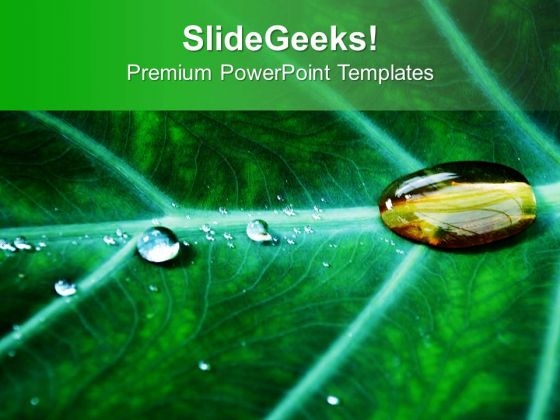 Water Drop On Leaf PowerPoint Templates Ppt Backgrounds For Slides 0513 Water Drop On Leaf PowerPoint Templates Ppt Backgrounds For Slides 0513