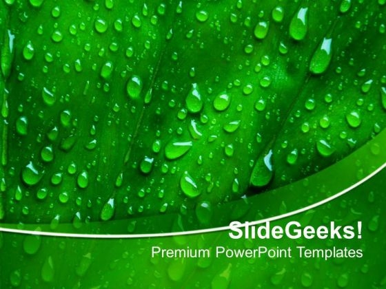 Water Drops With Green Background PowerPoint Templates Ppt Backgrounds For Slides 0613 Water Drops With Green Background PowerPoint Templates Ppt Backgrounds For Slides 0613