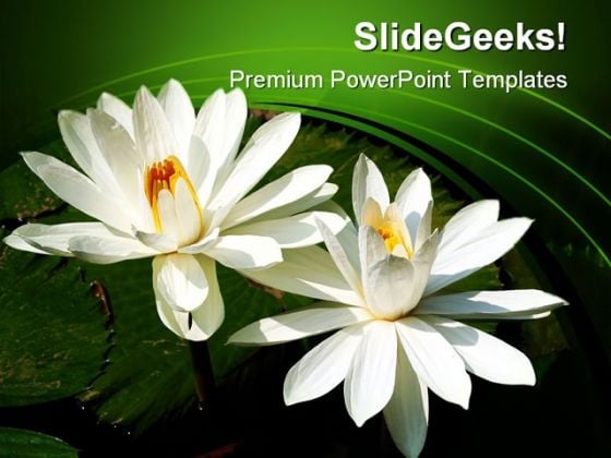 Water Lilies Nature PowerPoint Templates And PowerPoint Backgrounds 0311 Water Lilies Nature PowerPoint Templates And PowerPoint Backgrounds 0311