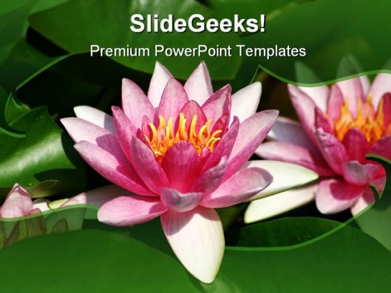water_lily_beauty_powerpoint_template_1110_title