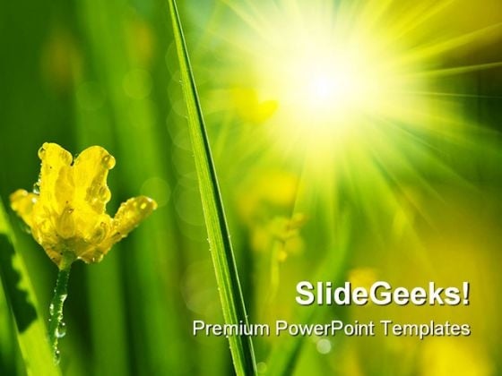 Wet Meadow Nature PowerPoint Templates And PowerPoint Backgrounds 0411 Wet Meadow Nature PowerPoint Templates And PowerPoint Backgrounds 0411
