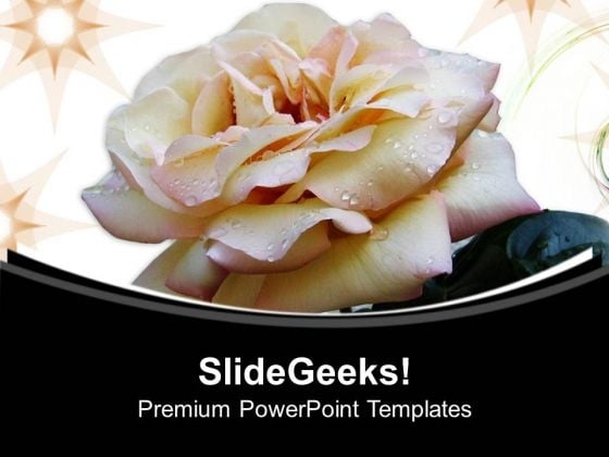 White Flower Background PowerPoint Templates Ppt Backgrounds For Slides 0613 White Flower Background PowerPoint Templates Ppt Backgrounds For Slides 0613