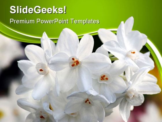 White Flowers Nature PowerPoint Templates And PowerPoint Backgrounds 0411 White Flowers Nature PowerPoint Templates And PowerPoint Backgrounds 0411