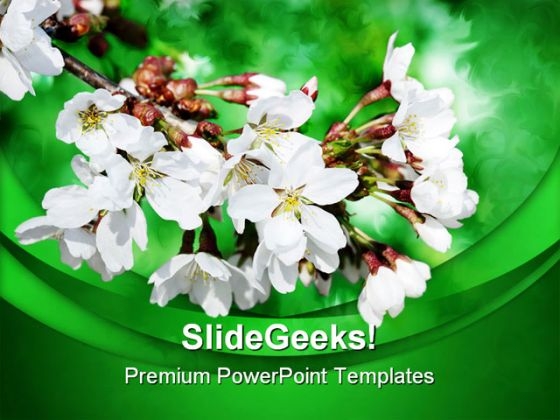 White Flowers On Branch Nature PowerPoint Templates And PowerPoint Backgrounds 0311 White Flowers On Branch Nature PowerPoint Templates And PowerPoint Backgrounds 0311