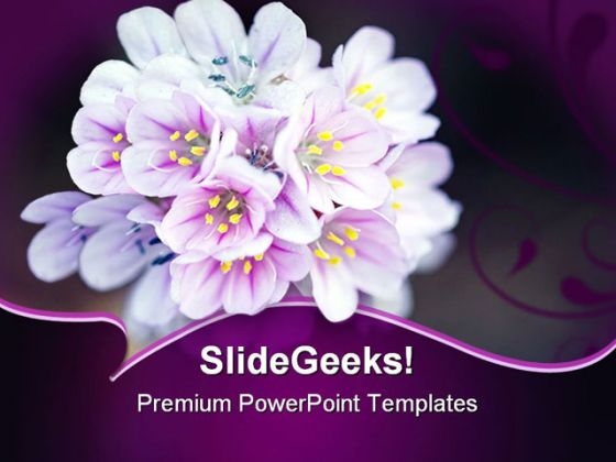 Wild Flower Beauty PowerPoint Themes And PowerPoint Slides 0211