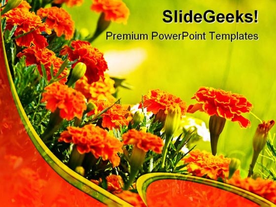 Wild Flowers Beauty PowerPoint Template 0610 Wild Flowers Beauty PowerPoint Template 0610