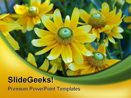 Yellow Daisies Nature PowerPoint Template 0610 Yellow Daisies Nature PowerPoint Template 0610