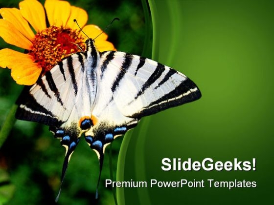 Yellow Flower And Butterfly Nature PowerPoint Themes And PowerPoint Slides 0211 Yellow Flower And Butterfly Nature PowerPoint Themes And PowerPoint Slides 0211