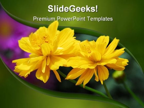 Yellow Flower Beauty PowerPoint Template 0810 Yellow Flower Beauty PowerPoint Template 0810