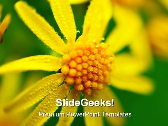 Yellow Flower Beauty PowerPoint Templates And PowerPoint Backgrounds 0211 Yellow Flower Beauty PowerPoint Templates And PowerPoint Backgrounds 0211
