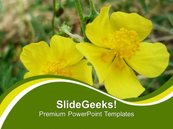 yellow flower for happiness theme powerpoint templates ppt powerpoint backgrounds yellow