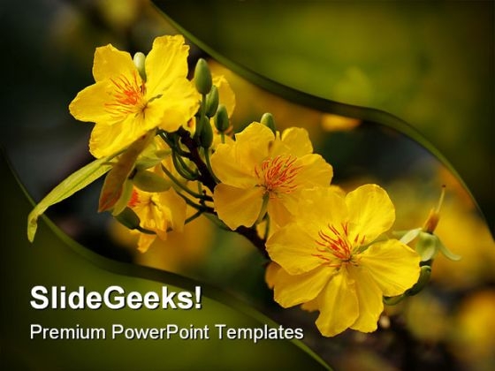 Yellow Flower Nature PowerPoint Templates And PowerPoint Backgrounds 0211