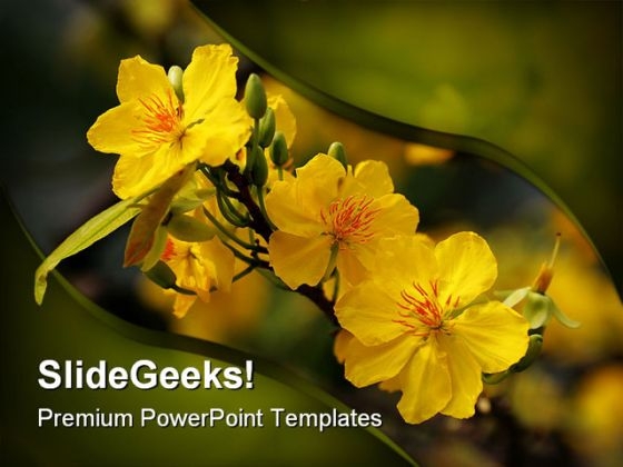 Yellow Flower Nature PowerPoint Templates And PowerPoint Backgrounds 0211 Yellow Flower Nature PowerPoint Templates And PowerPoint Backgrounds 0211