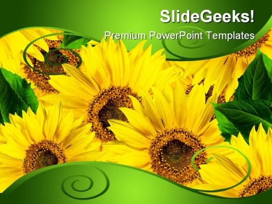 Yellow Flowers Beauty PowerPoint Background And Template 1210 Yellow Flowers Beauty PowerPoint Background And Template 1210
