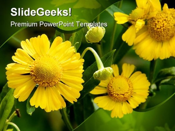 Yellow Flowers Beauty PowerPoint Templates And PowerPoint Backgrounds 0211 Yellow Flowers Beauty PowerPoint Templates And PowerPoint Backgrounds 0211