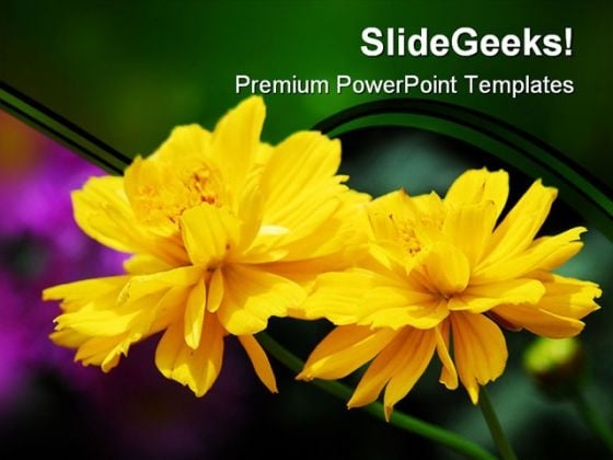 Yellow Flowers Nature PowerPoint Templates And PowerPoint Backgrounds 0211 Yellow Flowers Nature PowerPoint Templates And PowerPoint Backgrounds 0211