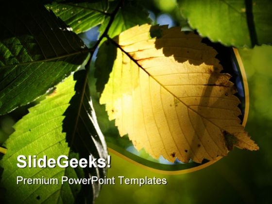 Yellow Leaf Nature PowerPoint Template 0810 Yellow Leaf Nature PowerPoint Template 0810