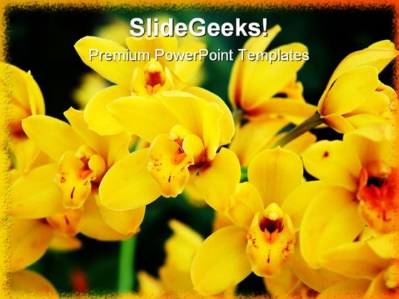 Yellow Orchids Nature PowerPoint Template 0810 Yellow Orchids Nature PowerPoint Template 0810