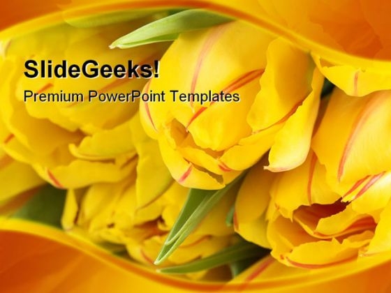 Yellow Tulips Beauty PowerPoint Themes And PowerPoint Slides 0211 Yellow Tulips Beauty PowerPoint Themes And PowerPoint Slides 0211