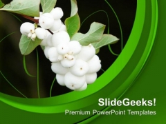 Beautiful Flower With Green Background Theme PowerPoint Templates Ppt Backgrounds For Slides 0713 Beautiful Flower With Green Background Theme PowerPoint Templates Ppt Backgrounds For Slides 0713