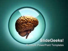 Brain Medical PowerPoint Backgrounds And Templates 0111