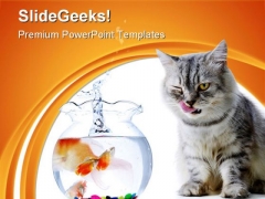 Cat And Fish Animals PowerPoint Templates And PowerPoint Backgrounds 0511